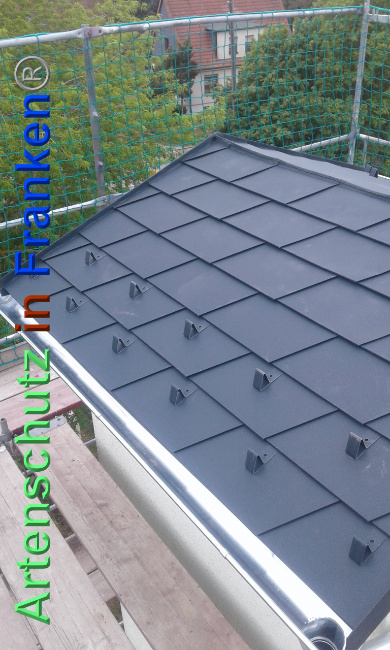 © Artenschutz in Franken® Bild zum Eintrag (1024094-160)