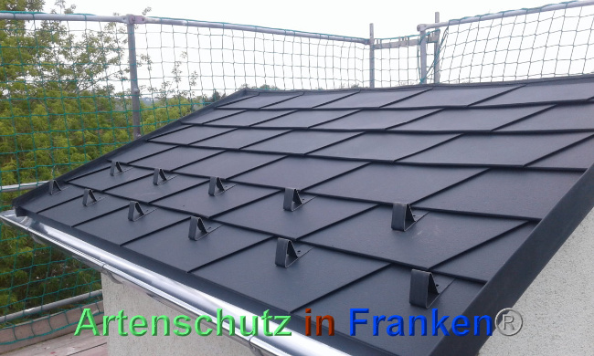 © Artenschutz in Franken® Bild zum Eintrag (1024095-160)