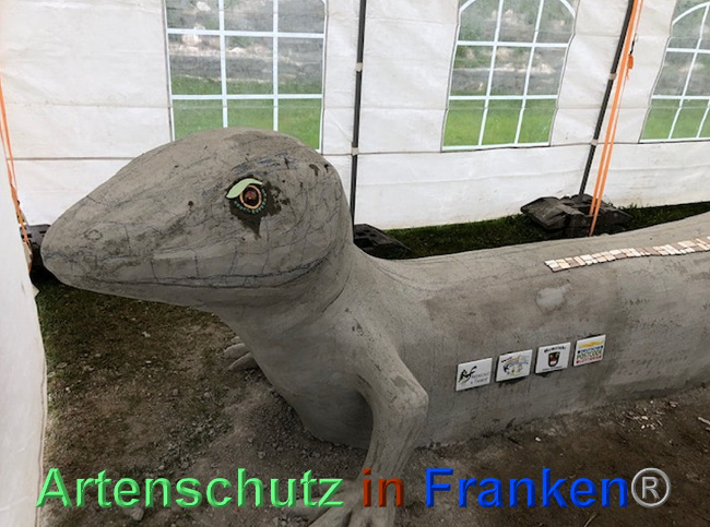 © Artenschutz in Franken® Bild zum Eintrag (1024105-160)
