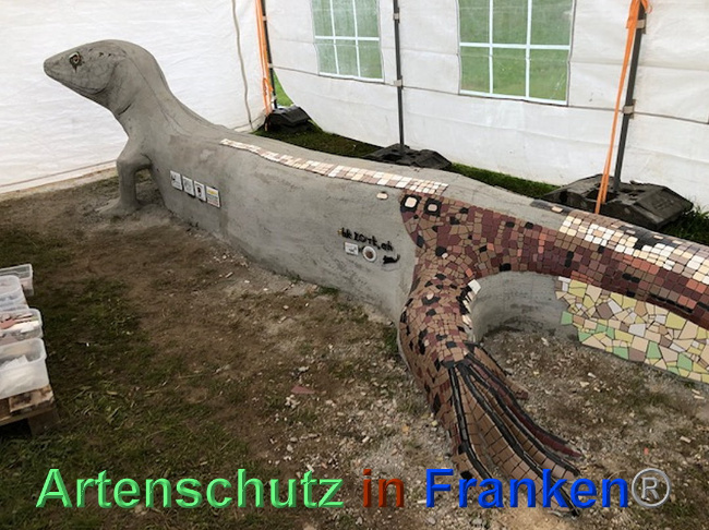 © Artenschutz in Franken® Bild zum Eintrag (1024107-160)