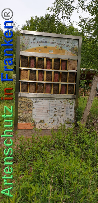 © Artenschutz in Franken® / Komes Bild zum Eintrag (1024128-160)