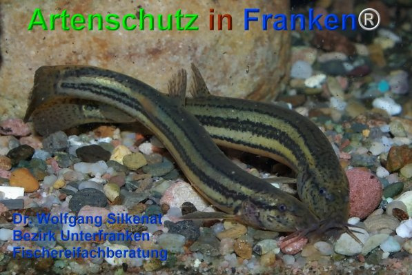 Copyright AiF / Dr. Silkenat Bild zum Eintrag (102413-160)