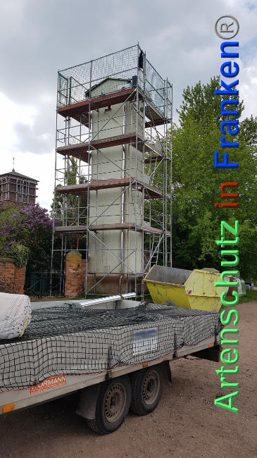 © Artenschutz in Franken® / Majchrzak Bild zum Eintrag (1024133-160)