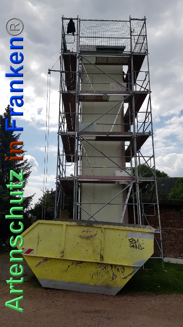 © Artenschutz in Franken® / Majchrzak Bild zum Eintrag (1024134-160)