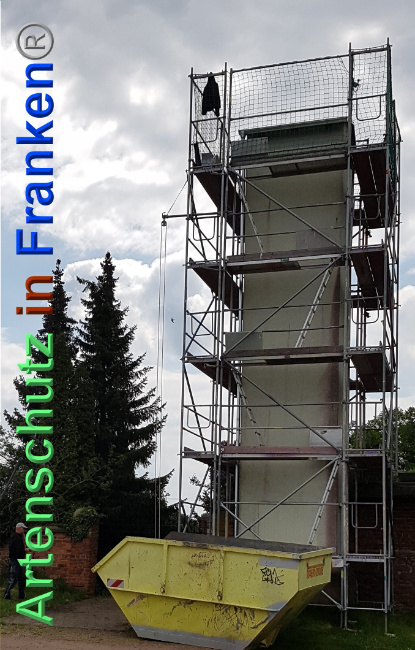 © Artenschutz in Franken® / Majchrzak Bild zum Eintrag (1024135-160)