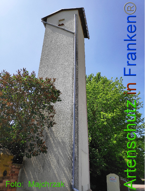 © Artenschutz in Franken® / Majchrzak Bild zum Eintrag (1024149-160)