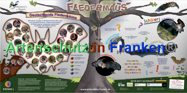 © Artenschutz in Franken® Bild zum Eintrag (1024186-160)