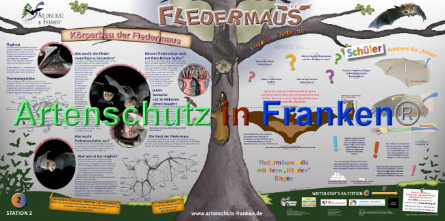 © Artenschutz in Franken® Bild zum Eintrag (1024187-160)