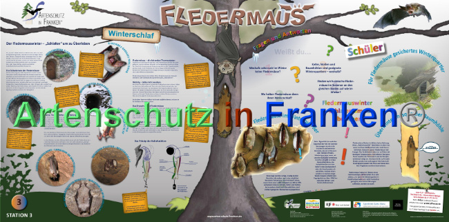 © Artenschutz in Franken® Bild zum Eintrag (1024188-160)