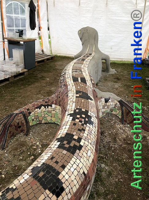 © Artenschutz in Franken® / Krautwurst Bild zum Eintrag (1024204-160)