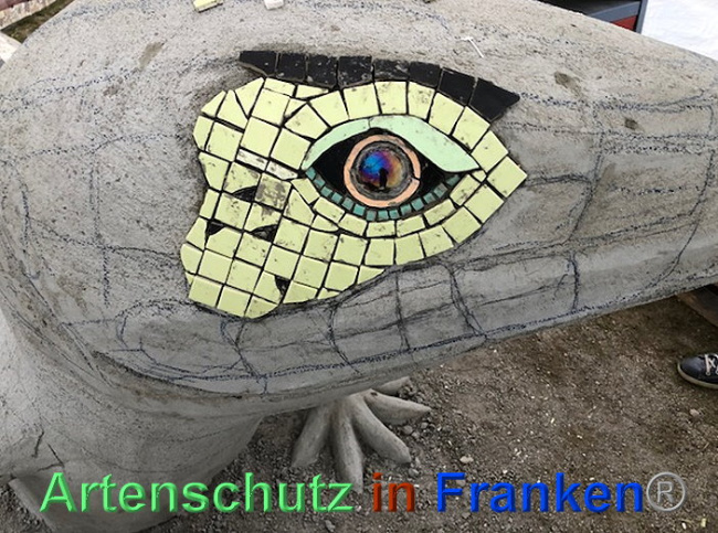 © Artenschutz in Franken® / Krautwurst Bild zum Eintrag (1024206-160)
