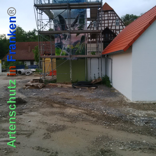 © Artenschutz in Franken® Bild zum Eintrag (1024210-160)