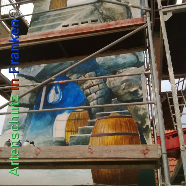 © Artenschutz in Franken® Bild zum Eintrag (1024211-160)
