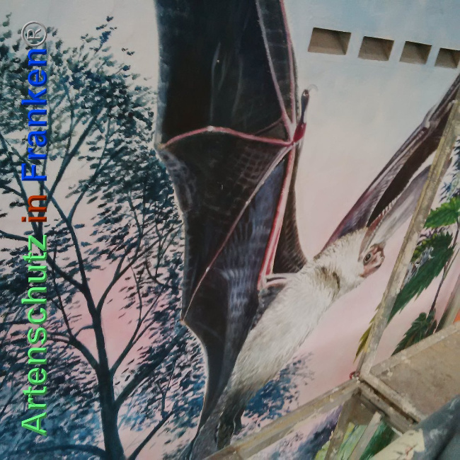 © Artenschutz in Franken® Bild zum Eintrag (1024212-160)