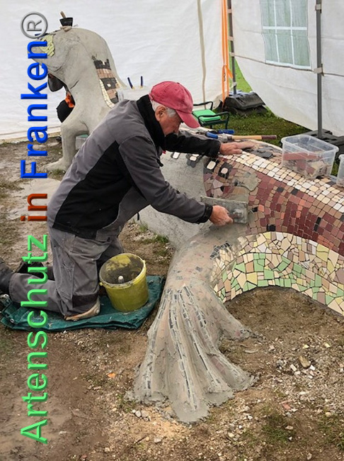 © Artenschutz in Franken® / Krautwurst Bild zum Eintrag (1024296-160)