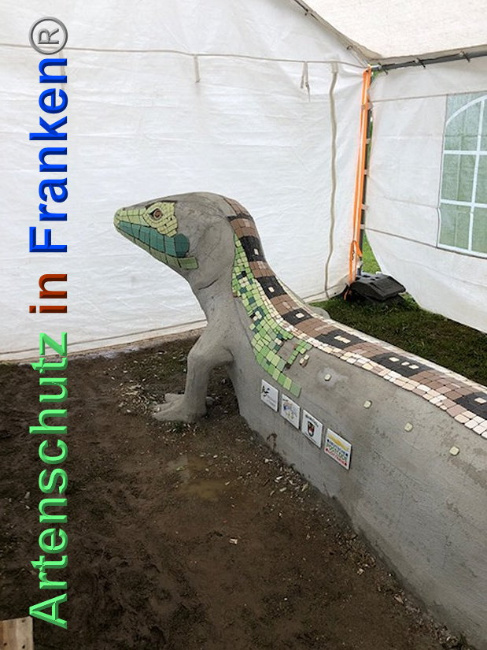 © Artenschutz in Franken® / Krautwurst Bild zum Eintrag (1024297-160)