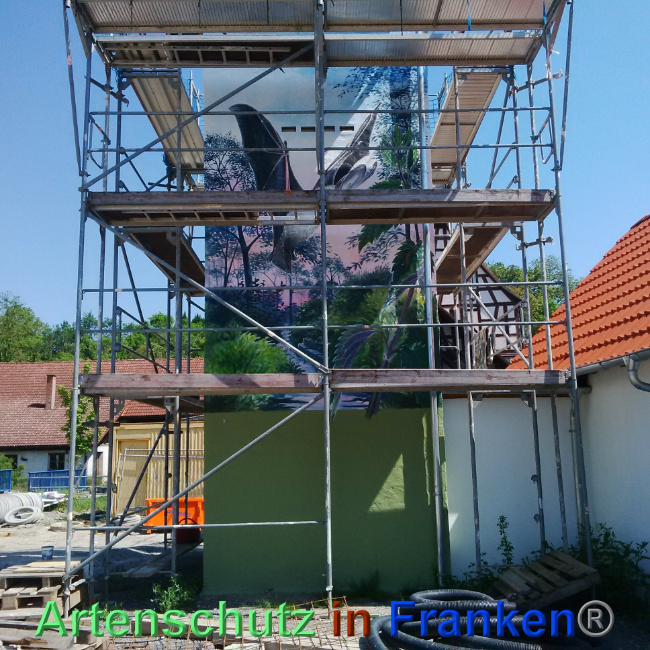 © Artenschutz in Franken® Bild zum Eintrag (1024381-160)