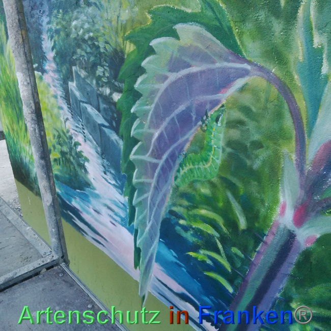 © Artenschutz in Franken® Bild zum Eintrag (1024382-160)