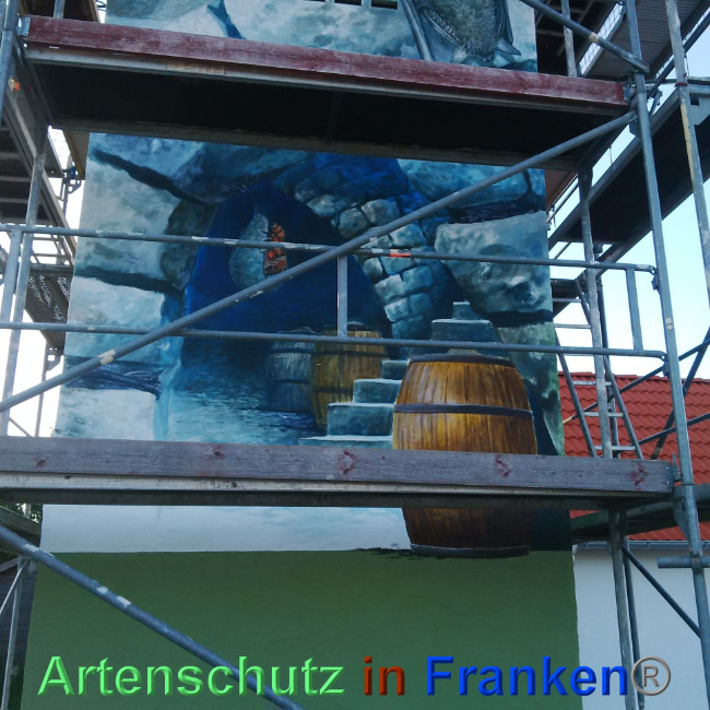 © Artenschutz in Franken® Bild zum Eintrag (1024383-160)