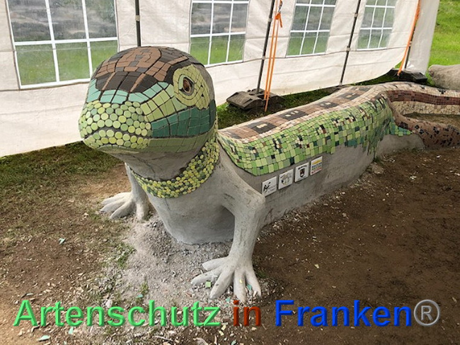 © Artenschutz in Franken® / Krautwurst Bild zum Eintrag (1024400-160)