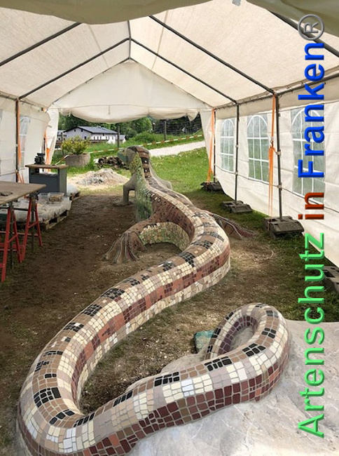 © Artenschutz in Franken® / Krautwurst Bild zum Eintrag (1024404-160)