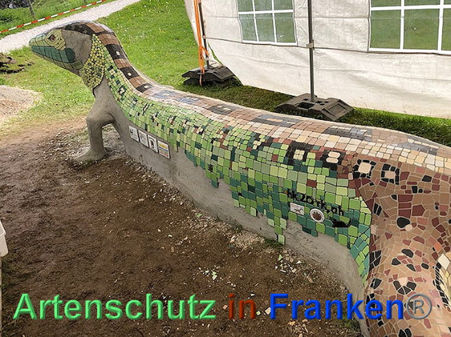 © Artenschutz in Franken® / Krautwurst Bild zum Eintrag (1024405-160)