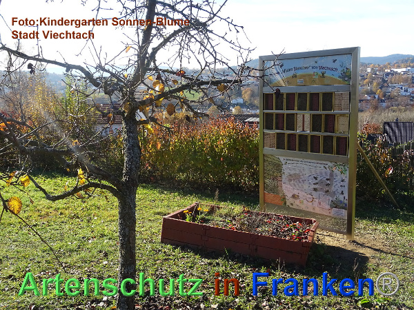 Copyright AiF / Kita Sonnen-Blume / Viechtach Bild zum Eintrag (102442-160)