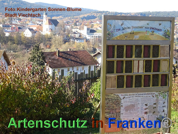 Copyright AiF / Kita Sonnen-Blume / Viechtach Bild zum Eintrag (102443-160)