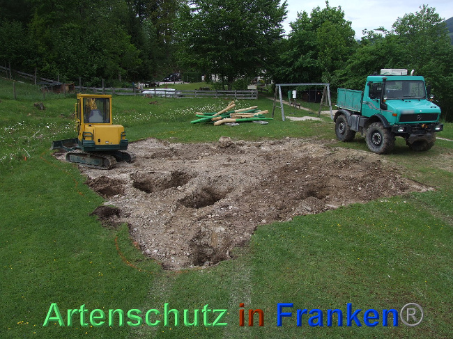 © Artenschutz in Franken® / Mehrtens Bild zum Eintrag (1024437-160)