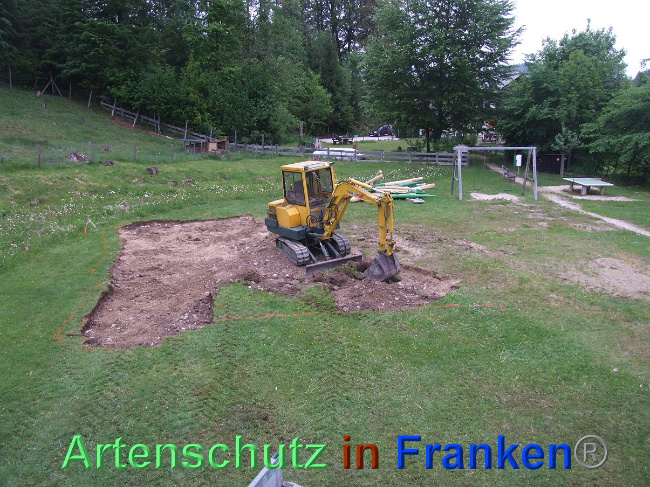 © Artenschutz in Franken® / Mehrtens Bild zum Eintrag (1024438-160)