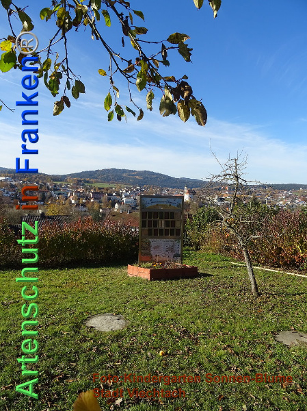 Copyright AiF / Kita Sonnen-Blume / Viechtach Bild zum Eintrag (102445-160)