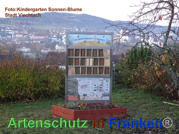 Copyright AiF / Kita Sonnen-Blume / Viechtach Bild zum Eintrag (102446-160)