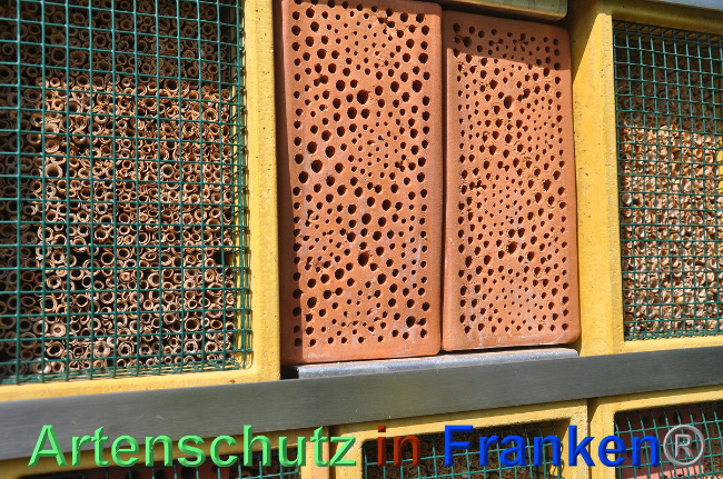 © Artenschutz in Franken® / Weishäupl Bild zum Eintrag (1024473-160)