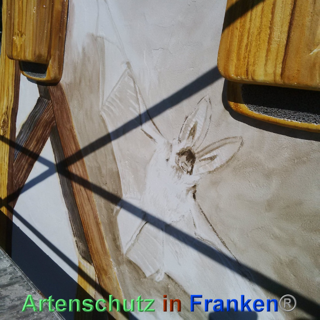 © Artenschutz in Franken® Bild zum Eintrag (1024483-160)