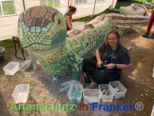 © Artenschutz in Franken® / Krautwurst Bild zum Eintrag (1024553-160)