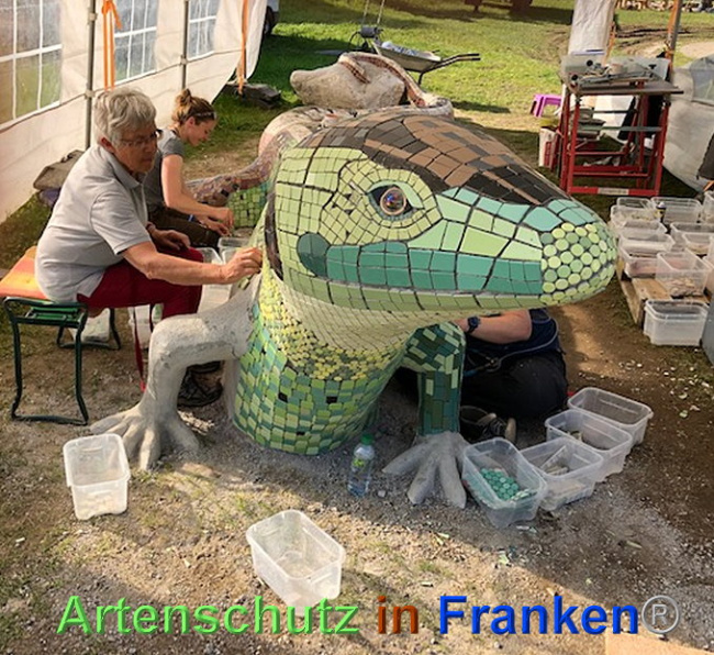 © Artenschutz in Franken® / Krautwurst Bild zum Eintrag (1024554-160)