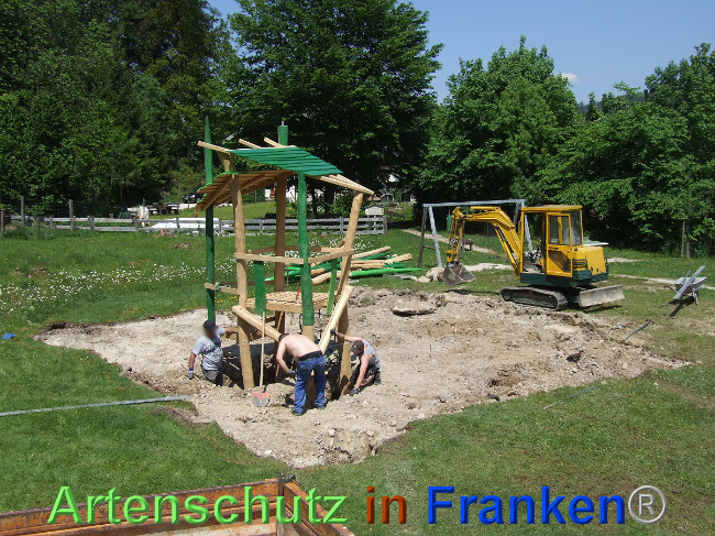 © Artenschutz in Franken® / Mehrtens Bild zum Eintrag (1024564-160)