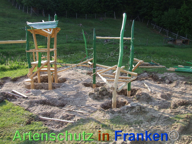 © Artenschutz in Franken® / Mehrtens Bild zum Eintrag (1024565-160)