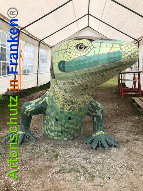 © Artenschutz in Franken® / Krautwurst Bild zum Eintrag (1024629-160)