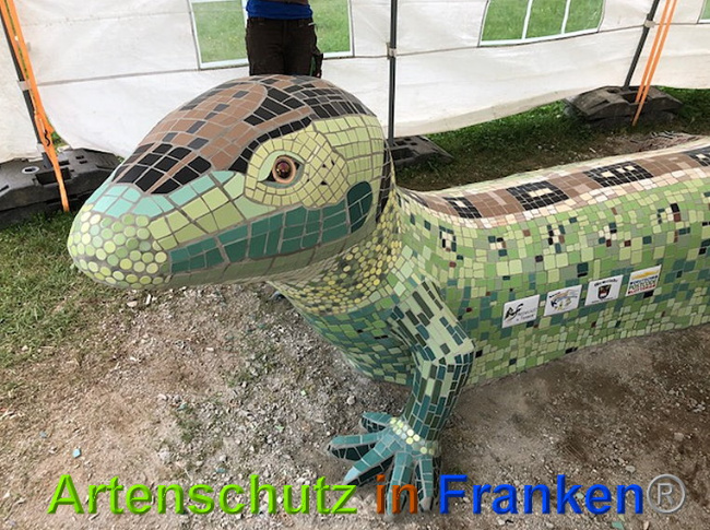 © Artenschutz in Franken® / Krautwurst Bild zum Eintrag (1024632-160)