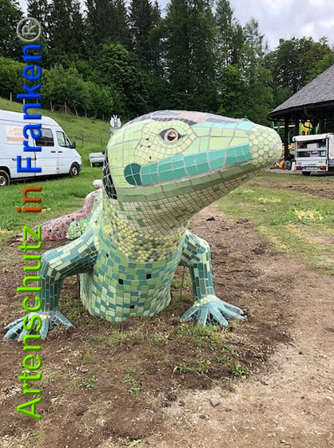 © Artenschutz in Franken® / Krautwurst Bild zum Eintrag (1024686-160)