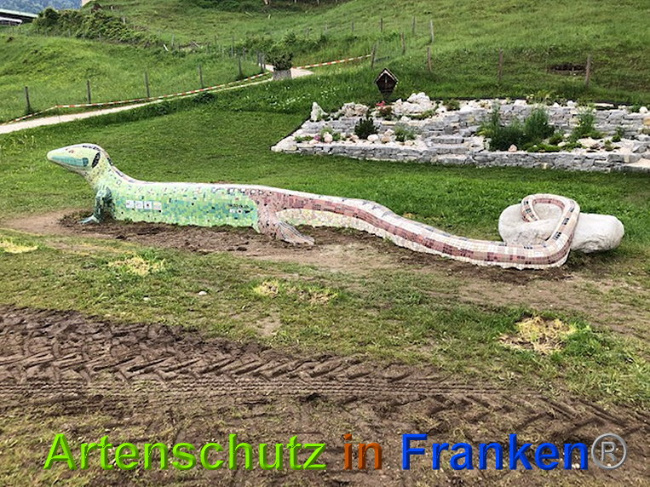 © Artenschutz in Franken® / Krautwurst Bild zum Eintrag (1024687-160)