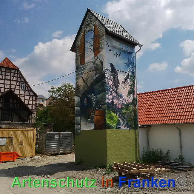 © Artenschutz in Franken® Bild zum Eintrag (1024723-160)