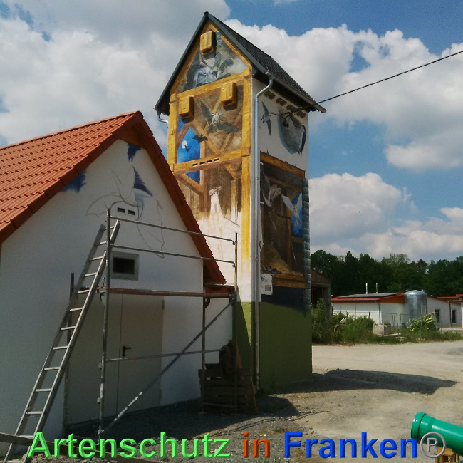 © Artenschutz in Franken® Bild zum Eintrag (1024732-160)