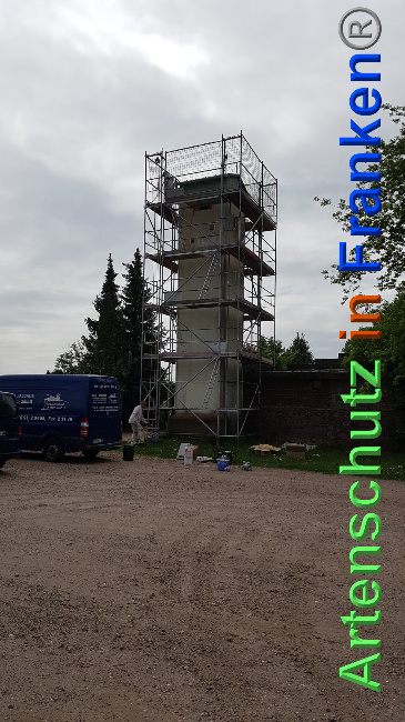© Artenschutz in Franken® / Verband Naturpark „Unteres Saaletal“ e. V. Bild zum Eintrag (1024739-160)