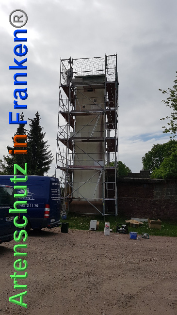 © Artenschutz in Franken® / Verband Naturpark „Unteres Saaletal“ e. V. Bild zum Eintrag (1024741-160)