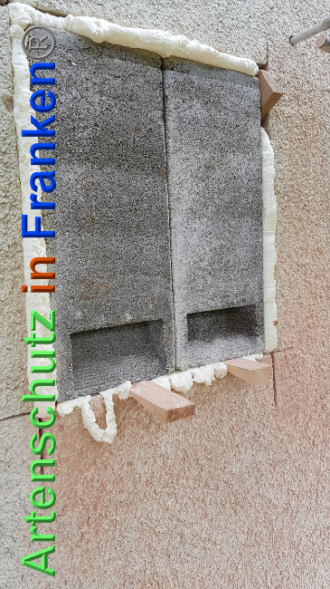 © Artenschutz in Franken® / Verband Naturpark „Unteres Saaletal“ e. V. Bild zum Eintrag (1024743-160)