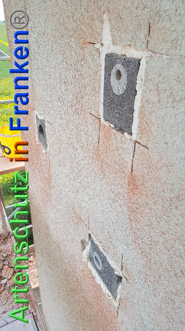 © Artenschutz in Franken® / Verband Naturpark „Unteres Saaletal“ e. V. Bild zum Eintrag (1024747-160)