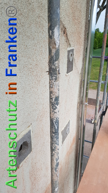 © Artenschutz in Franken® / Verband Naturpark „Unteres Saaletal“ e. V. Bild zum Eintrag (1024748-160)