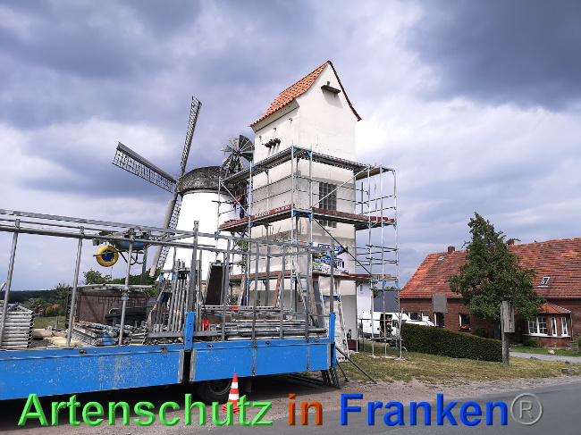 © Artenschutz in Franken® / A. Vennemann Bild zum Eintrag (1024755-160)